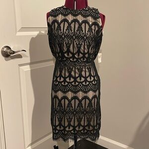 Disney Parks Women’s Small Dress Blue Pepper NWT black tan